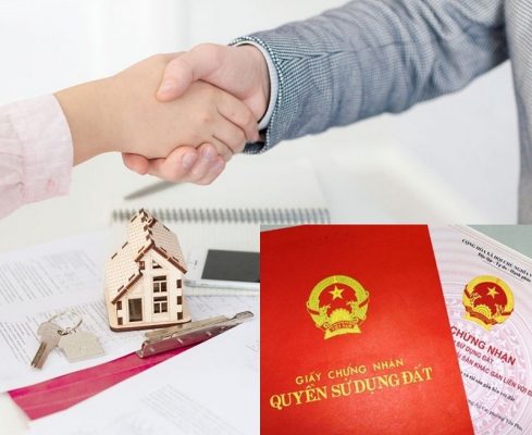 lập di chúc khi bệnh