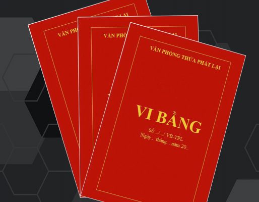 vi bằng góp vốn