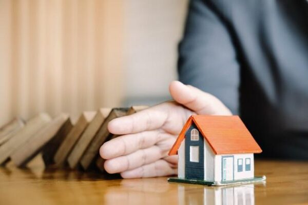 đất rừng thừa kế