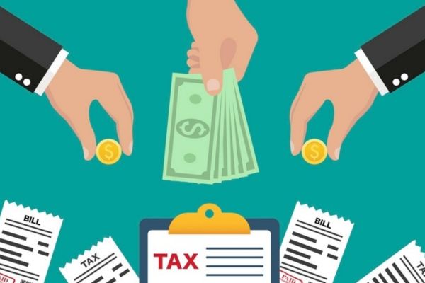 Chậm nộp thuế đất