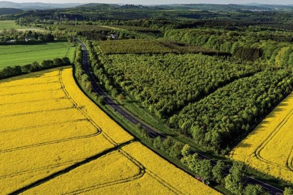 Mua đất từ quỹ đất công ích - Quy định pháp lý và thủ tục cần biết