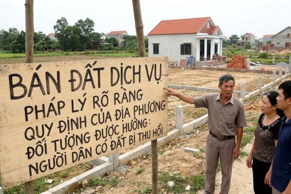 Bán đất dịch vụ: Pháp lý, quy định và ai được hưởng?